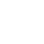 Tnt